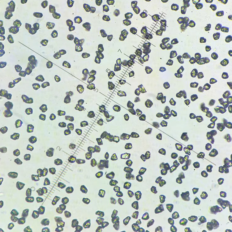 【Semiconductors】Diamond powder-WD-A1